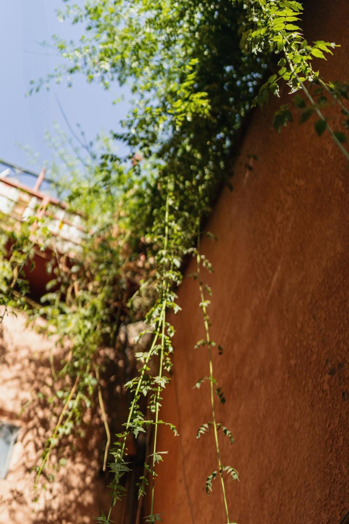Riad Senja مراكش المظهر الخارجي الصورة